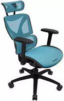 ThunderX3 XTC ergonominė ofiso kėdė – juodos spalvos/mėlynos spalvos