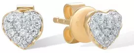 Geltono aukso auskarai su briliantais Brasco 62170