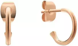 Daniel Wellington Auksuoti žiediniai auskarai „Charms DW00400767“