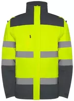 Roly Gerai matoma dviejų spalvų parką EPSYLON Švino/fluoro geltona