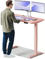 Elektrinis reguliuojamo aukščio stalas Desktronic HomeOne Rožinis/Rožinis, 120x60cm, Dvigubas motoras, USB ir USB-C įkrovimo lizdai