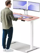 Elektrinis reguliuojamo aukščio stalas Desktronic HomeOne Baltas/Rožinis, 120x60cm, Dvigubas motoras, USB ir USB-C įkrovimo lizdai