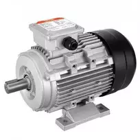 Vevor 1,5 kW elektrinis variklis 3000 aps./min