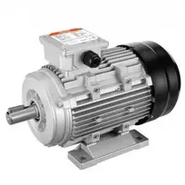 Vevor 2.2 kW elektrinis variklis 2890 aps./min.
