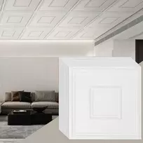 PVC Lubų Plytelės, 61 cm x 61 cm, Atsparios Vandeniui Pakabinamų Lubų Plytelės, Lengvai Montuojama Lubų Danga