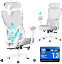 Ergonomiška biuro kėdė reguliuojama atrama