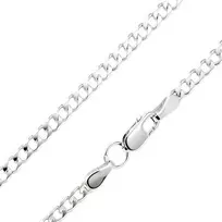 Sidabrinė grandinėlė "Curb" Brasco 53159