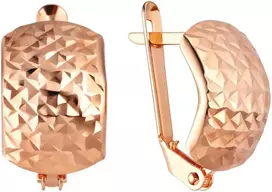 Auksiniai auskarai Brasco 12378
