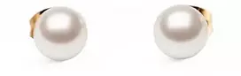 Daniel Wellington Auskarai su Swarovski perlais DW00401956