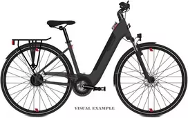 Elektrinis dviratis Tabou Mono UP ECO Plus 26 anthracite-red-16" (Dydis: 16")