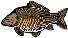 Ženkliukas Carp HE