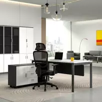 Re Stock Furniture Ergonominė biuro kėdė „Stratos''