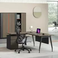 Re Stock Furniture Ergonominė biuro kėdė „Apex“