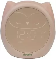 Cloud B Owlie