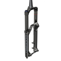Dviračio šakė ROCKSHOX Domain RC 29" 170mm