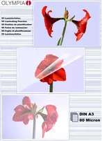 Olympia Olympia laminavimo plėvelės DIN A3, 50 vnt 80 mic