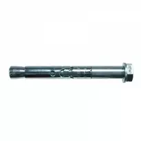 Fischer Ankeris su varžtu FSA S 12/10 12x70 mm