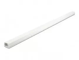 Delock kabelio kanalas su dangteliu lipnus 22 x 15 mm - ilgis 1 m baltas
