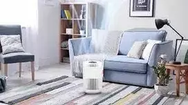 Oro valytuvas Boneco P230