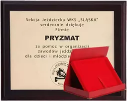 Victoria Sport Plastikinis pagrindas su graviruotu laminatu + dėklas 305x245 mm