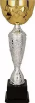 Victoria Sport Auksinis ir sidabrinis metalinis puodelis 4186B