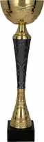 Victoria Sport TUMA BK 9216D Gold- grafito taurė