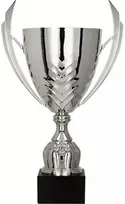 Detal Sidabrinis metalinis puodelis