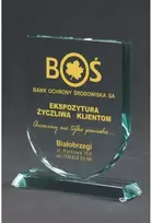Tryumf Graviruotas stiklo trofėjus su dėklu +užpildymas dažais