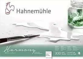 Hahnemühle Hahnemühle Harmony akvarelė karšto spaudimo 12 lapų 300g A4