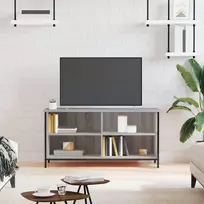 TV staliukas Televizoriaus spintelė, pilka ąžuolo, 100x40x50cm, mediena