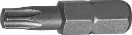 JONNESWAY TORX T45 x 30 mm 6 taškų, 10 mm