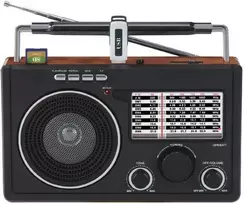 Dartel Radijas Frisky RD-70