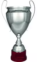 Detal Sidabrinis metalinis T-S puodelis