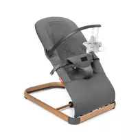 Kidnort Moln Unique Grey Kūdikių Sūpynės Kėdutė
