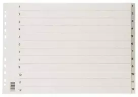 Plast Petter Ab Registravimo lentelė plastikinėje dėžutėje, 1-12, A3, plastikinė