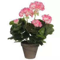 Edelman Dirbtiniai augalai vazonėlyje 34cm pelargonijos/rožinės