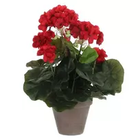 Edelman Dirbtiniai augalai vazonėlyje 34cm pelargonijos/raudon.