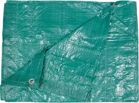 Toya Sa Poland Tentas | žalias | 5 X 8 m | 57g/m2 (85135)