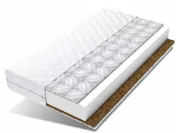 Čiužinys FDM, 60x120 cm
