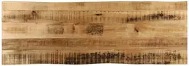Stalviršis, 120x40x2,5cm, mango masyvas, su gyvu kraštu