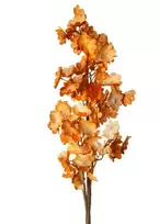 Eurofirany KW/FLORE/755/POM POMA+BR