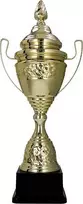 Victoria Sport Gold plastikinis puodelis - FUTBOLIS