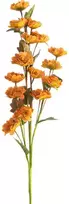 Eurofirany KW/FLORE/790/POM POMA+HERB