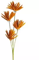 Eurofirany KW/FLORE/779/POM POMA