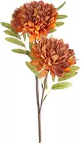 Eurofirany KW/FLORE/783/POM POMA+BROWN