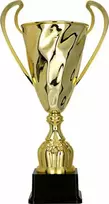 Victoria Sport Gold metalinis puodelis