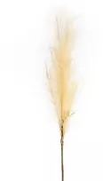 Eurofirany KW/FLORE/708/BEIGE BEIGE