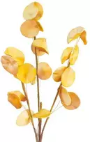Eurofirany KW/FLORE/710/POM POMA+GELTONA