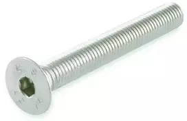 Varžtai Suki, DIN7991, M5 x 30 mm, A2, 4 vnt.