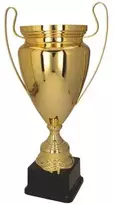 Victoria Sport Gold metalinis puodelis